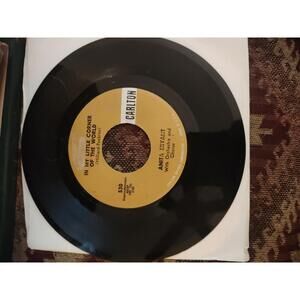 Anita Bryant - in my little corner of the world- vinyl 45 NM